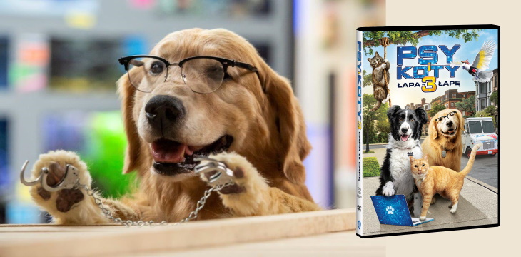 Nowość wydawnicza DVD "Psy i koty 3: Łapa w łapę"