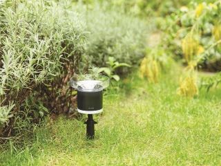 Jak inteligentna stacja pogodowa może pomóc w ogrodzie?