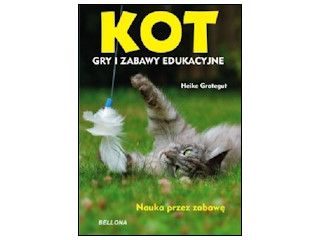 Recenzja książki „Kot. Gry i zabawy edukacyjne”.