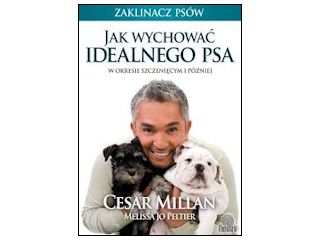 Recenzja książki „Jak wychować idealnego psa w okresie szczenięcym i później”.