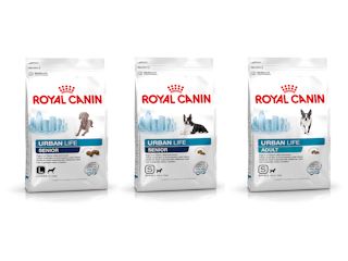 Linia Urban firmy Royal Canin rewolucjonizuje rynek karm dla psów.