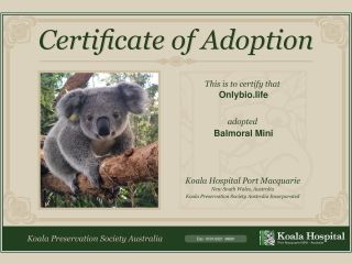 Inicjatywa Fundacji Koala Conservation Australia Incorporated.