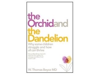 Nowość wydawnicza "Dziecko orchidea czy dziecko mlecz?" dr W. Thomas Boyse
