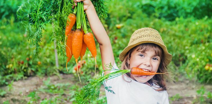 Jak wspólna uprawa roślin wpływa na rozwój dziecka i jego relację z rodzicem?