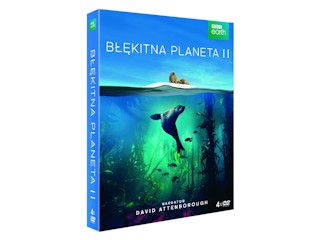 Nowość na DVD i Blu-ray - Błękitna Planeta II.