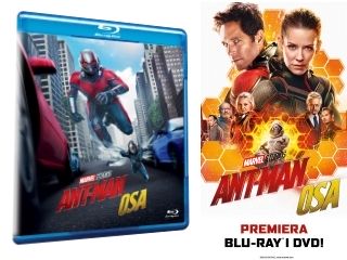 Recenzja DVD „Ant-Man i Osa”.