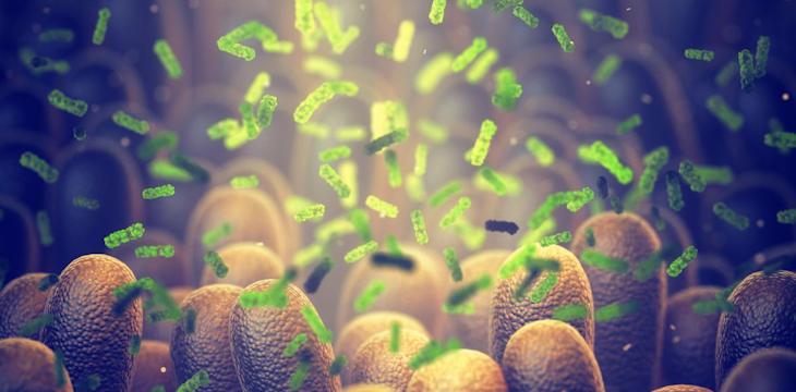 Mikrobiom jelitowy - jak o niego dbać?