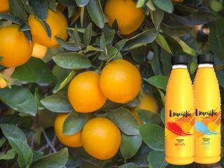 Limenita - sok, który doda energii w jesienne poranki.