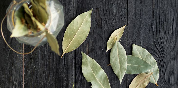 Herbata z liści laurowych – dlaczego powinniśmy ją codziennie pić?