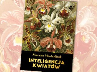 Konkurs wydawnictwa MG - Inteligencja kwiatów.