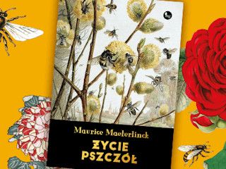 Konkurs wydawnictwa MG - Życie pszczół.